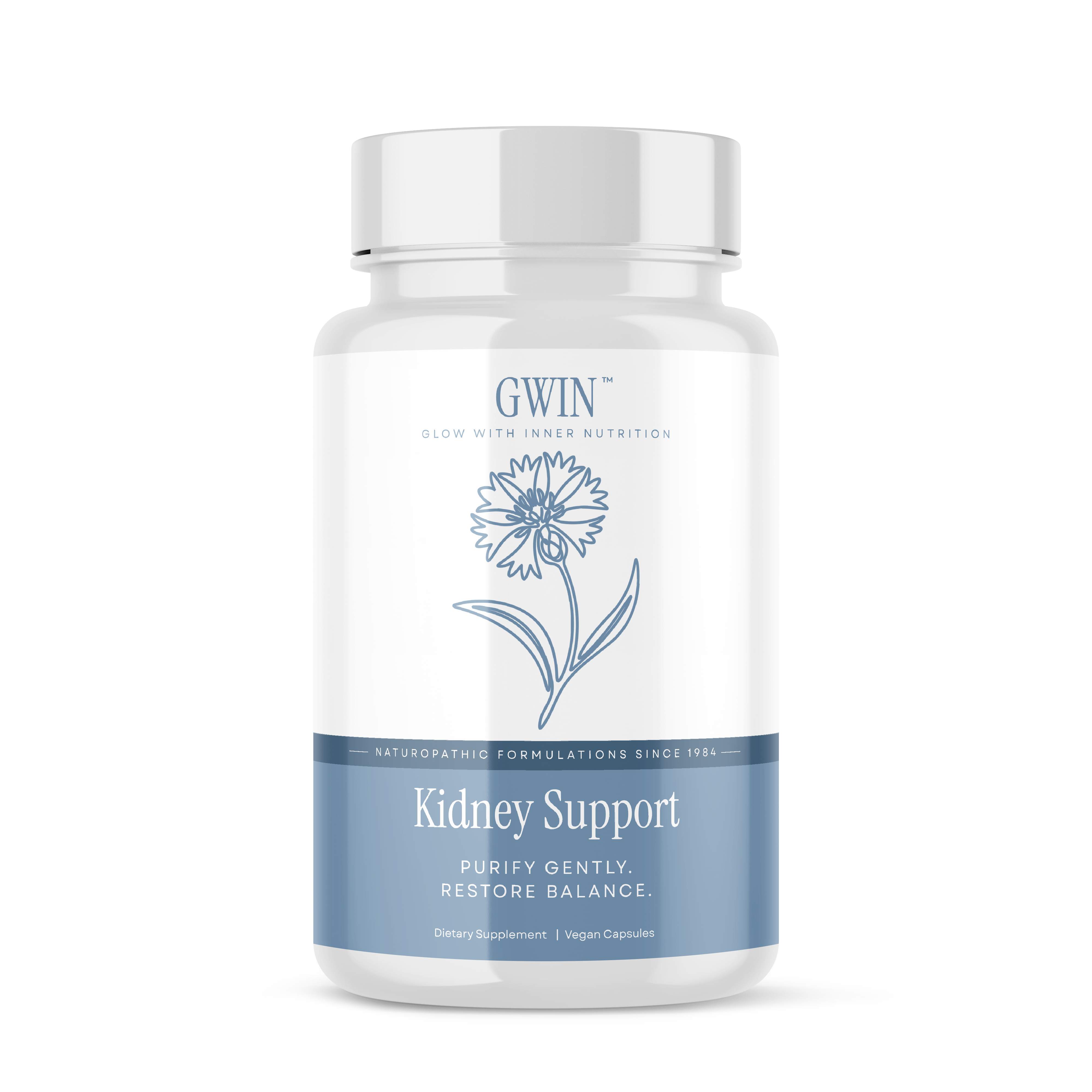 Kidney Support